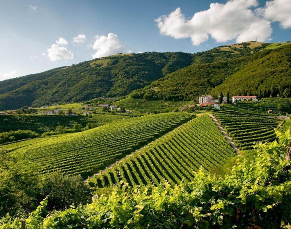 Follinetta10 - Enjoy Holiday Home In The Prosecco Hills Follina Eksteriør bilde